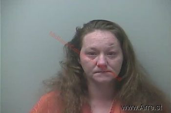 Holly Ann Brock Mugshot