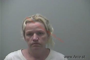 Janet Lynne Schlicker Mugshot