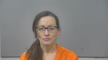 Janie Dee-linn Stanton Mugshot