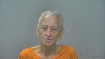 Julie Ann Brank Mugshot