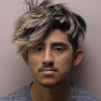 Jose Migel-palina Olvera Mugshot