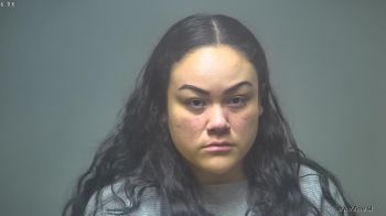 Karen Lee Chippewa Mugshot