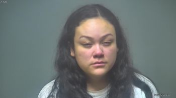 Karen Lee Chippewa Mugshot