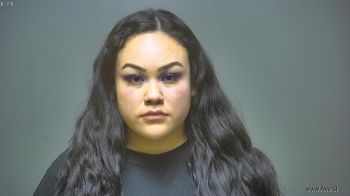 Karen Lee Chippewa Mugshot