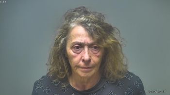 Lisa  Asker Mugshot