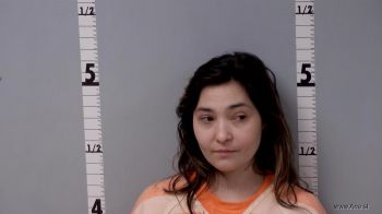 Lisa Marie Davis Mugshot