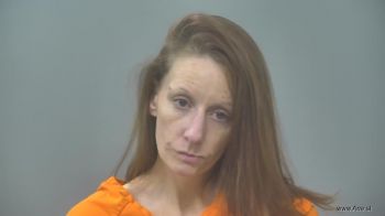 Lisa Nicole Oliver-elowsky Mugshot