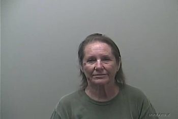 Mary Louise Shauger Mugshot