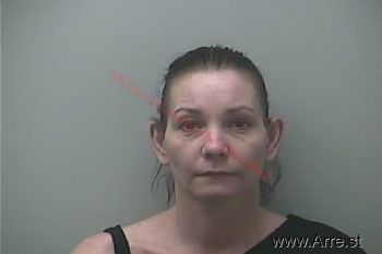 Michelle Lynn Anderson Mugshot