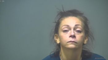 Michelle Lee Marshall Mugshot