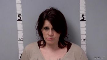 Nicole Lynn Brooks Mugshot