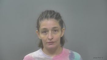 Pamela Sue Frank Mugshot