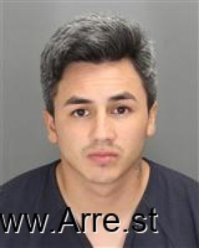 Paulo Felipe Penaecheverria Mugshot