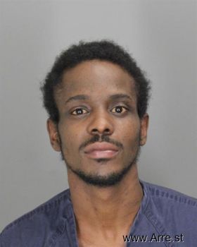 Raphael Ali Louris Mugshot