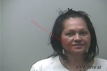 Sandra Lee Scialdone Mugshot