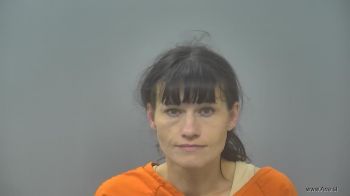 Stephanie Ruthann Anderson Mugshot