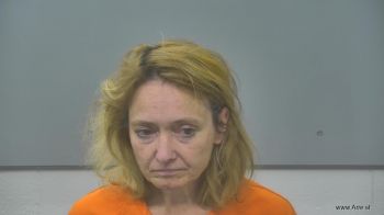 Tammy Ann Dziesinski Mugshot