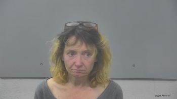 Tammy Ann Dziesinski Mugshot