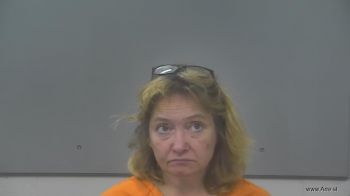 Tammy Ann Dziesinski Mugshot