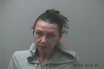 Teri Lynn Green Mugshot