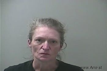 Theresa Ann Larson Mugshot