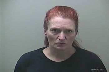 Theresa Ann Larson Mugshot