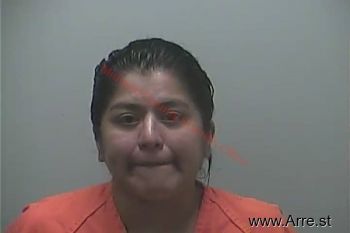 Yolanda Guadalupe Hernandez Mugshot