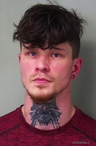 Jarin Woodman-colotti Arrest Mugshot