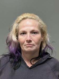 Nicole Reed Arrest Mugshot