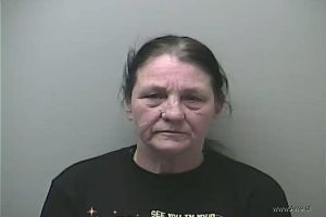 Rae Fettinger Arrest Mugshot