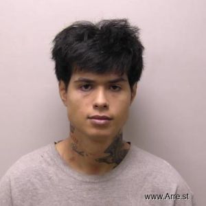 Rafael Rocha Arrest Mugshot