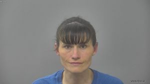 Stephanie Anderson Arrest Mugshot