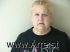 Ann Rose Arrest Mugshot Gratiot 