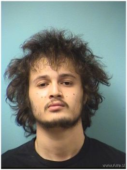 Ali Sami Fahal Ibrahim Mugshot