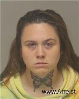 Amber Marie Anderson-leeseberg Mugshot