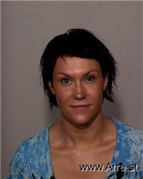 Amy Jo Erickson Mugshot