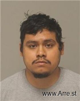 Anthony  Dominguez Rodriguez Mugshot