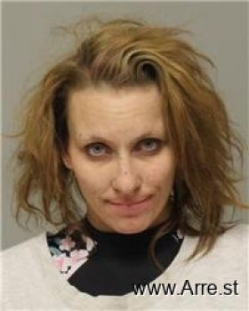 Ashley Marie Olson Mugshot