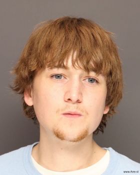 Alex Wayne Olson Mugshot