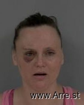 Amanda Marie Heinz Mugshot