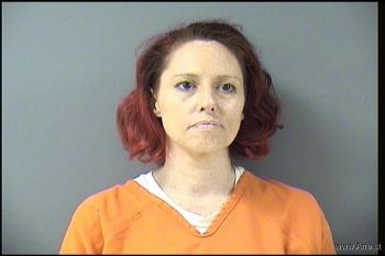 Amanda Ray Novotny Mugshot