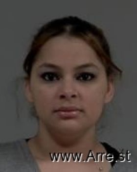 Amber Nicole Danner Mugshot