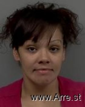 Amy Lynn Cook Mugshot