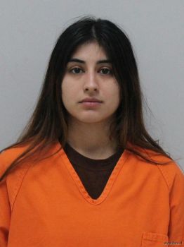 Andrea Maria Mcloughlin Mugshot