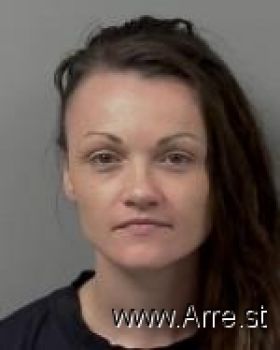 Andrea Ann Vogel Mugshot