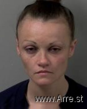 Andrea Ann Vogel Mugshot