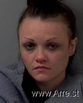 Andrea Ann Vogel Mugshot