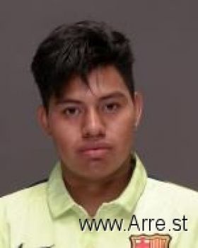 Andres  Rincon Mugshot