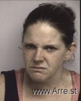 Angela Sue Stanek Mugshot