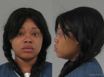 April Faun Johnson Mugshot